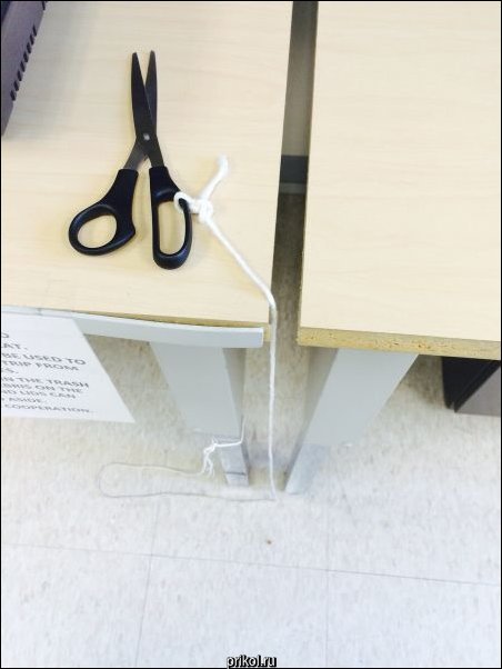 Фото приколы