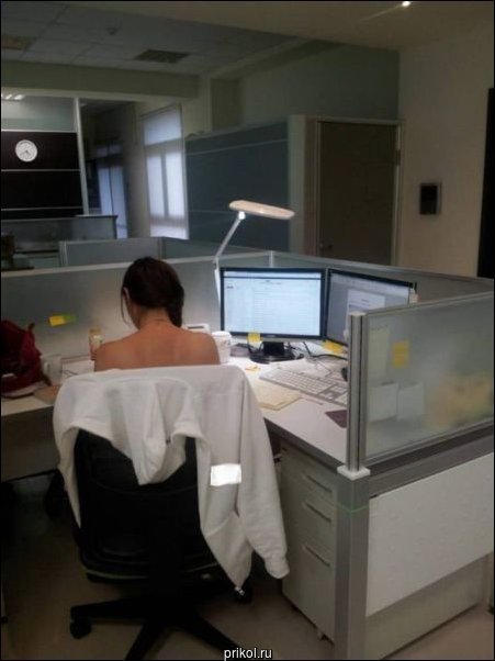 Фото приколы