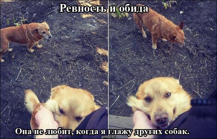 Фото приколы