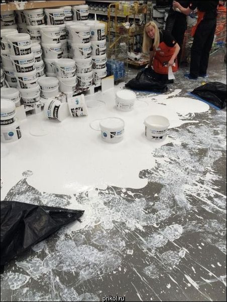 Фото приколы