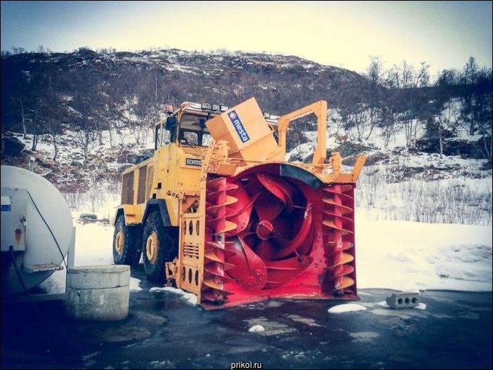 Фото приколы