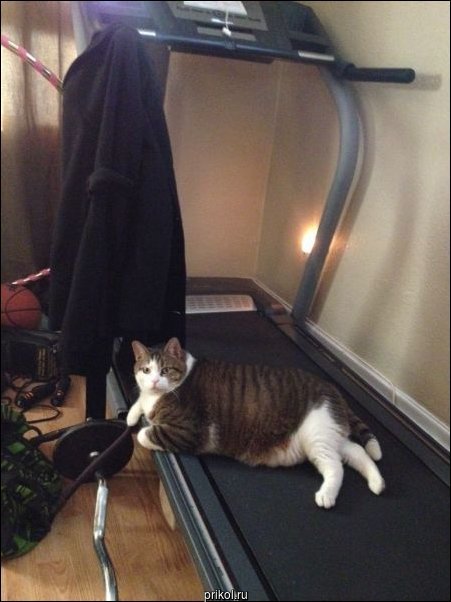 Фото приколы