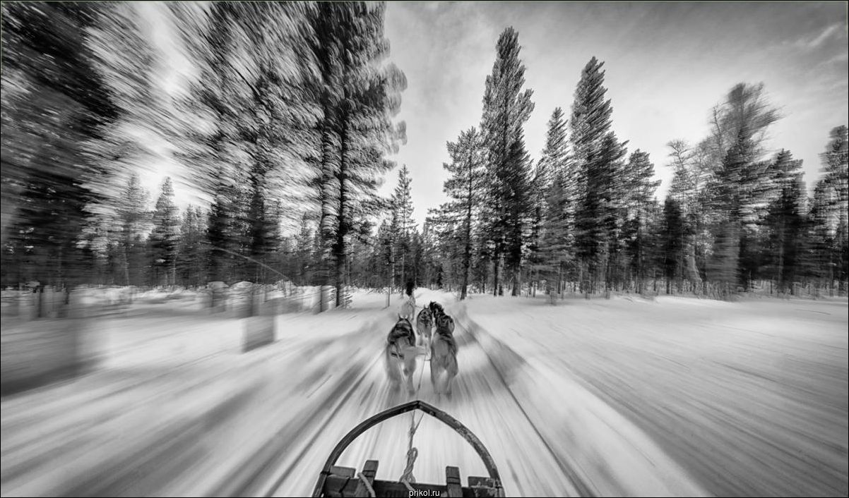 Фото приколы