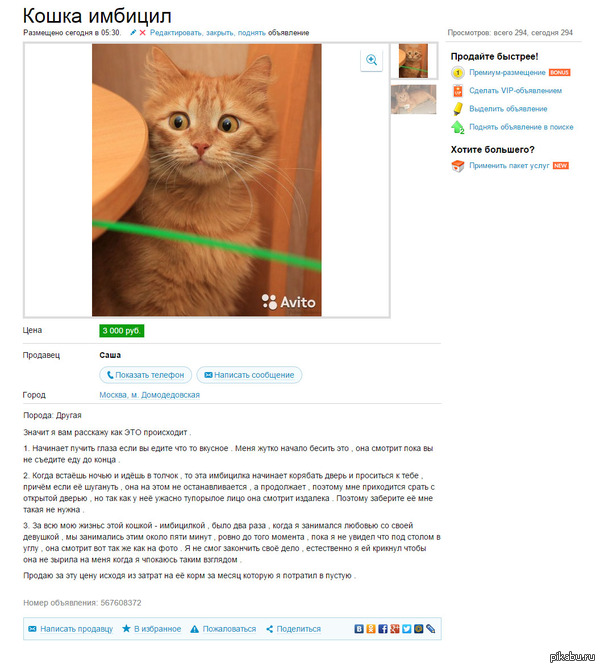 Прикольные надписи и объявления