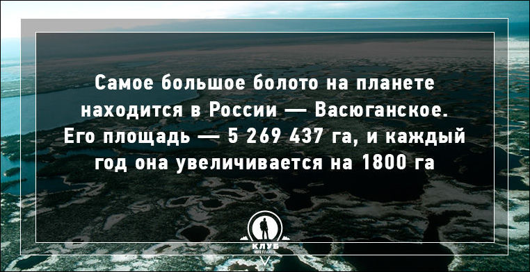 Факт о воде