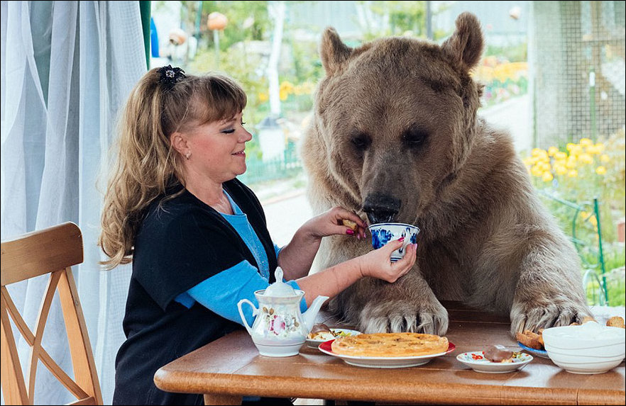 медведь Степан