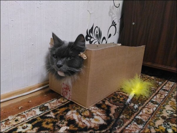 фотоприколы