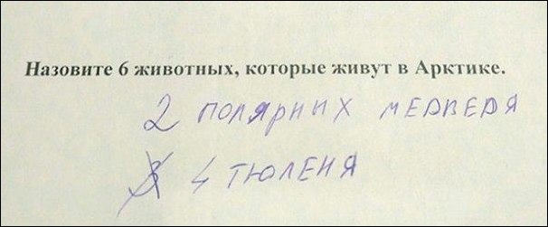 надписи и объявления