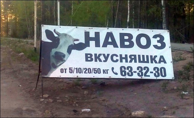 надписи и объявления