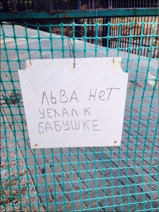 надписи и объявления