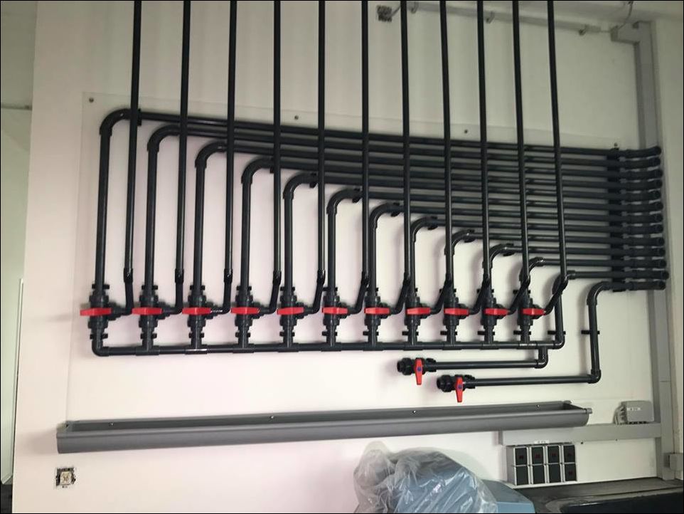 фото приколы