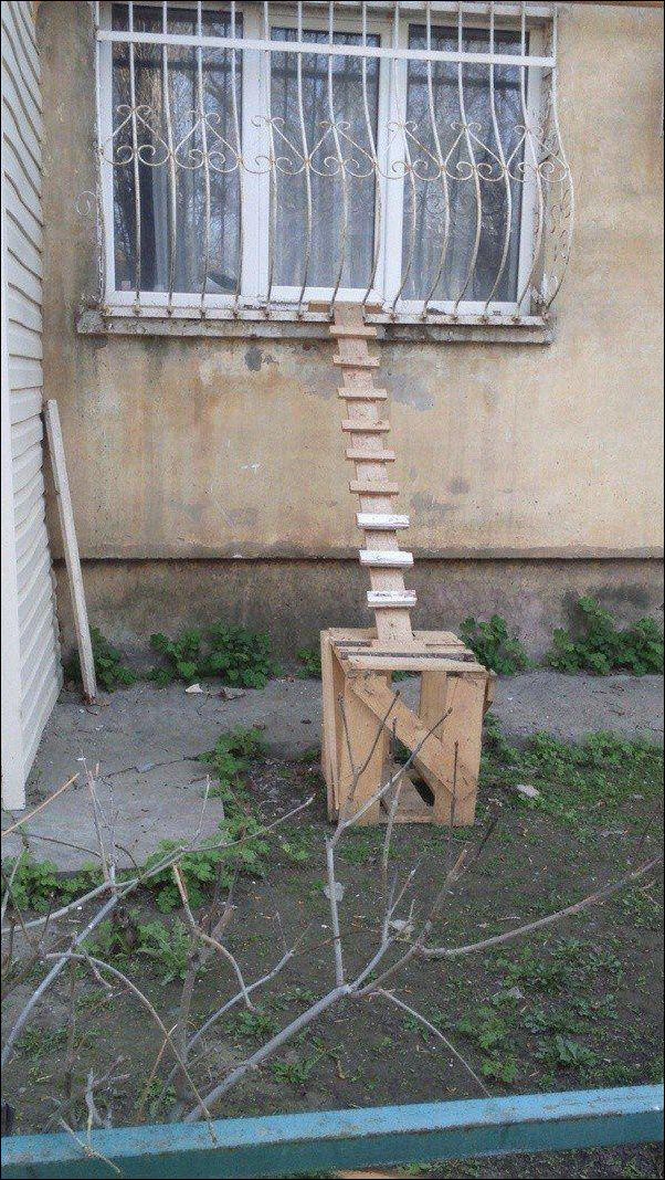 фото приколы