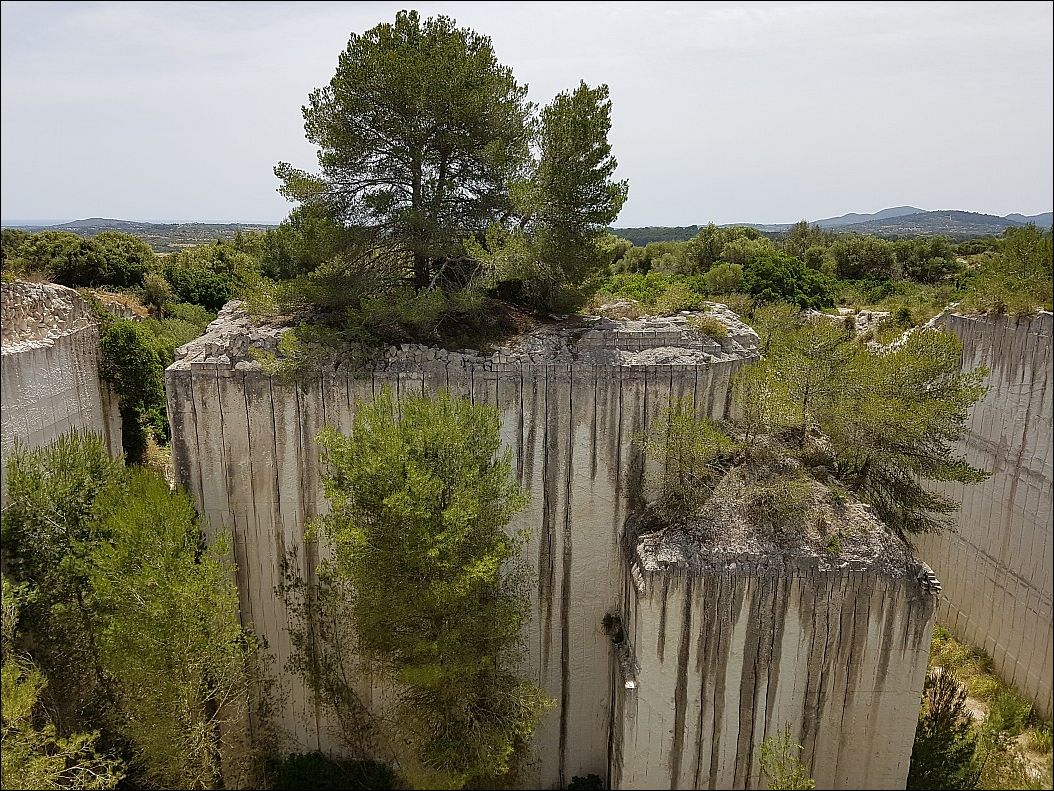 фото приколы