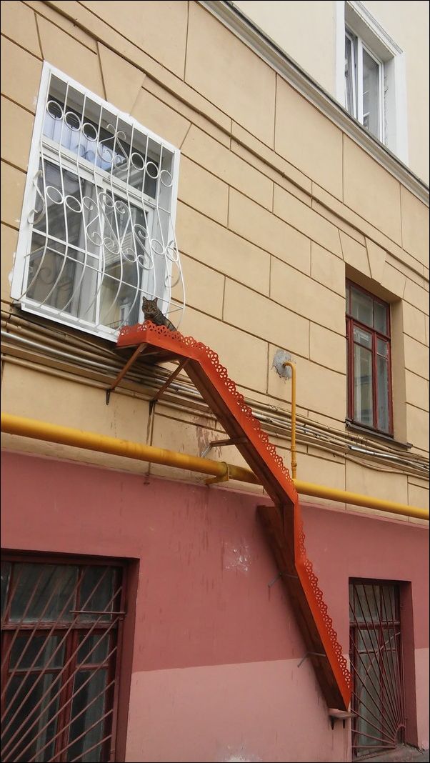 фото приколы