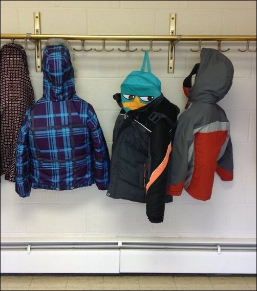 фото приколы