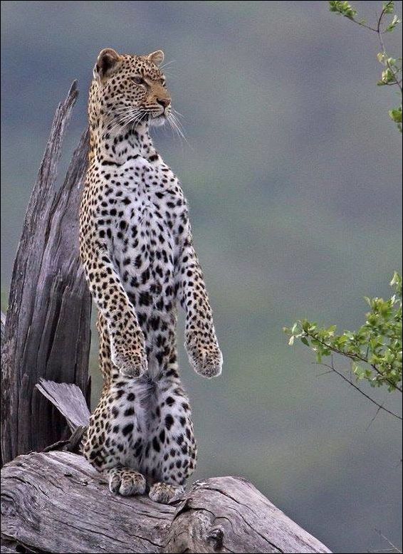 фото приколы