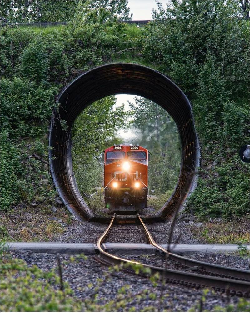 фото приколы