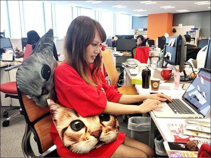 фото приколы