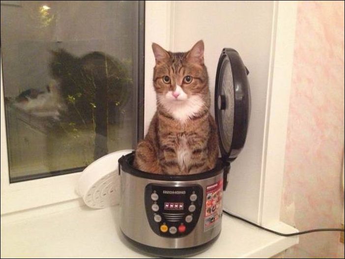 фото приколы