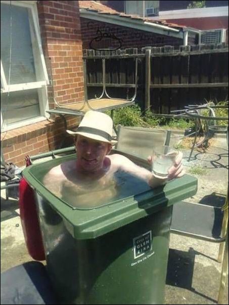 фото приколы