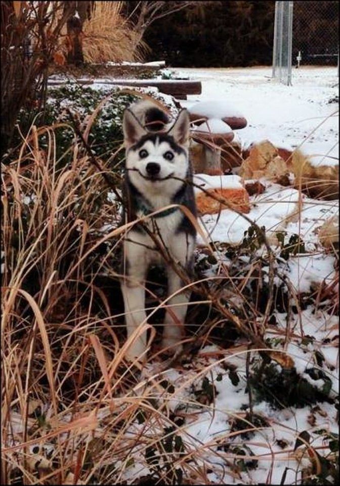 фото приколы