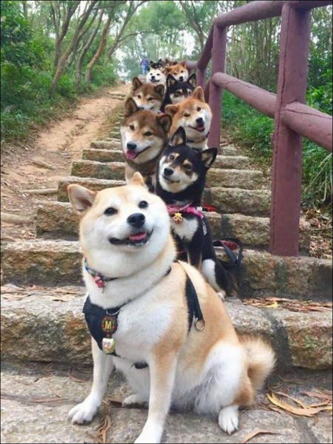 фото приколы