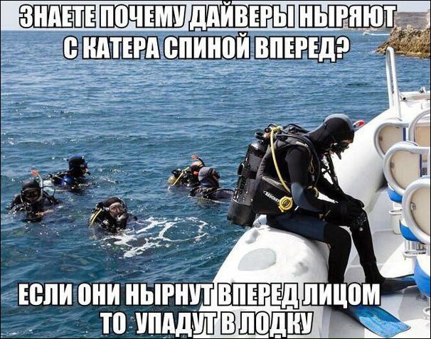 прикольные картинки прикольные картинки