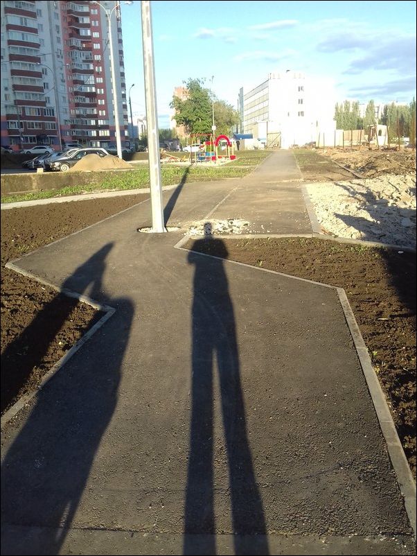 прикольные картинки прикольные картинки