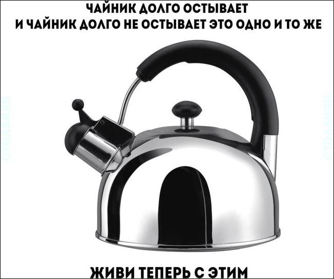 прикольные картинки прикольные картинки