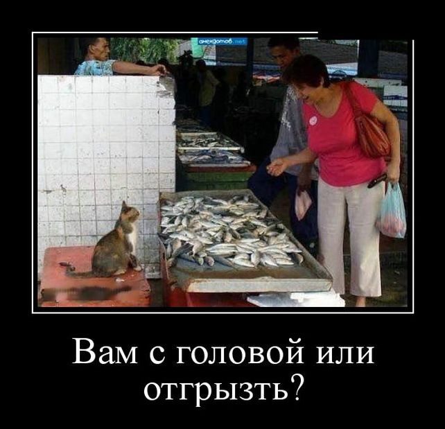 демотиватор