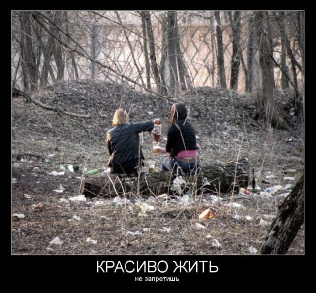 демотиваторы