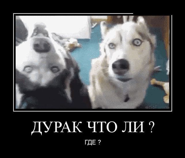 демотиваторы