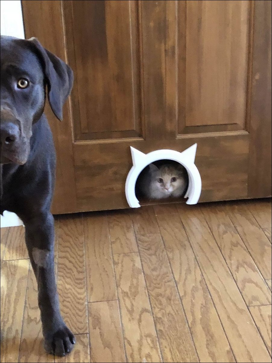 фото приколы