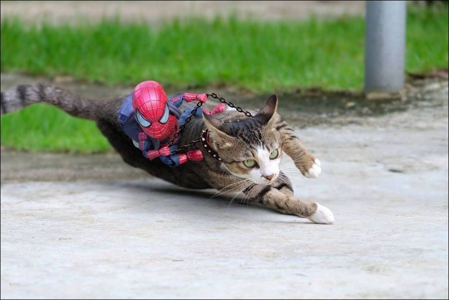 фото приколы