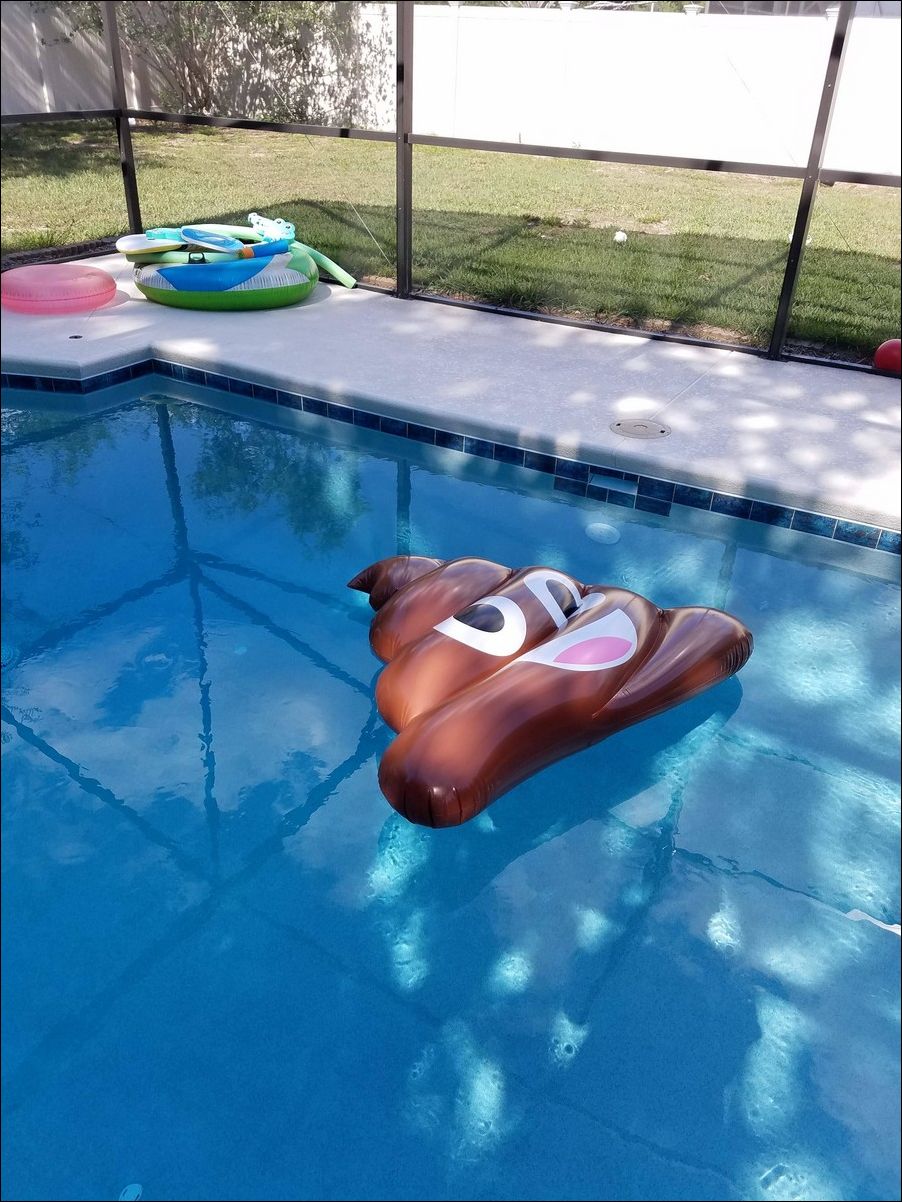 фото приколы