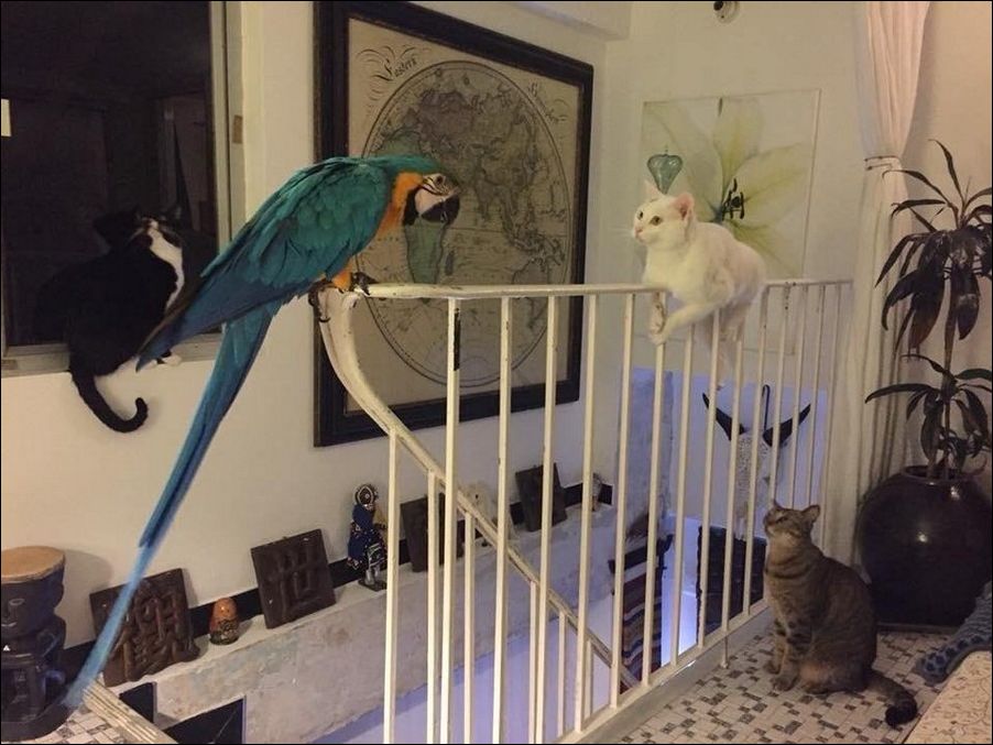 фото приколы