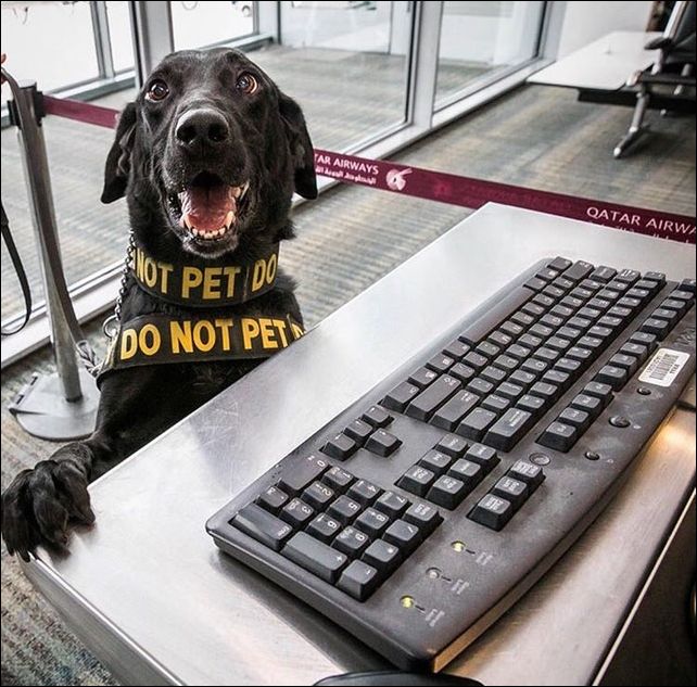 фото приколы