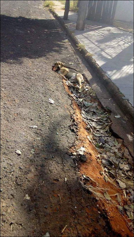 фото приколы