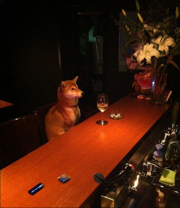 фото приколы