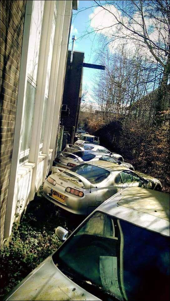 фото приколы