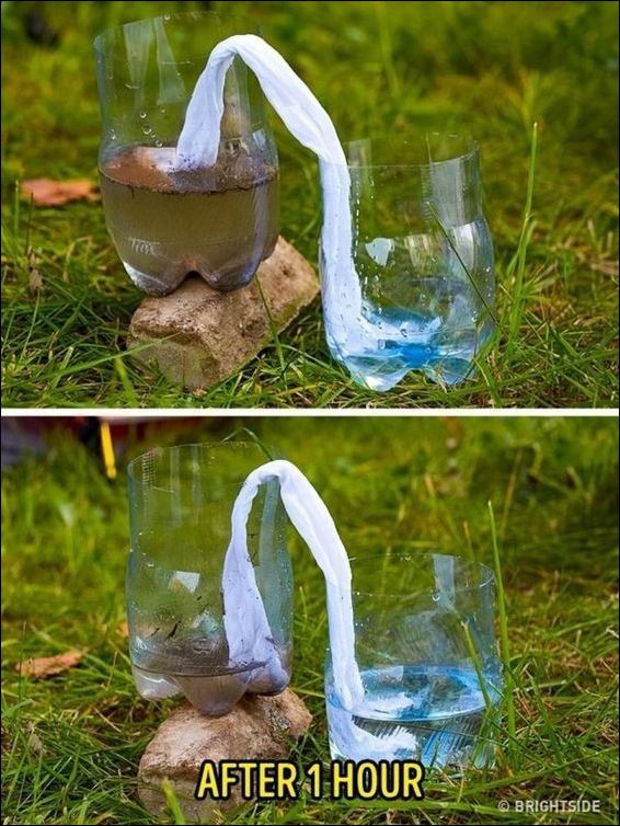 фото приколы