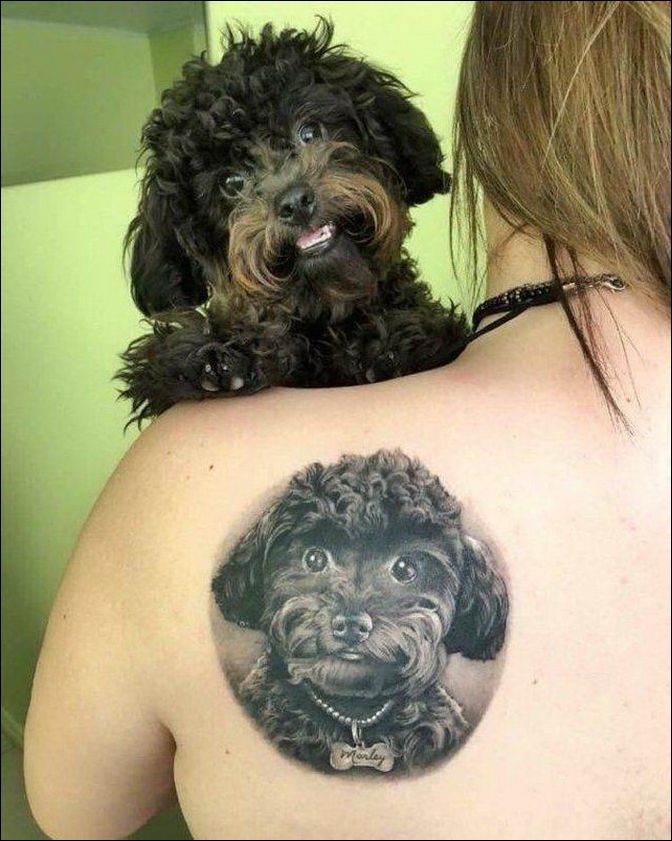 фото приколы