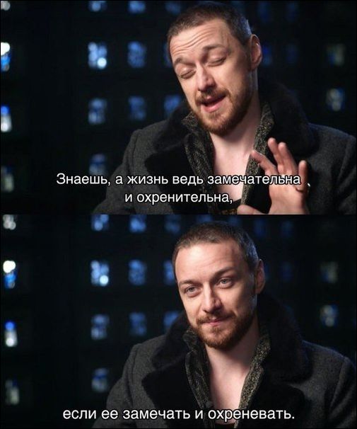 прикольные картинки прикольные картинки