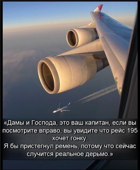 прикольные картинки прикольные картинки