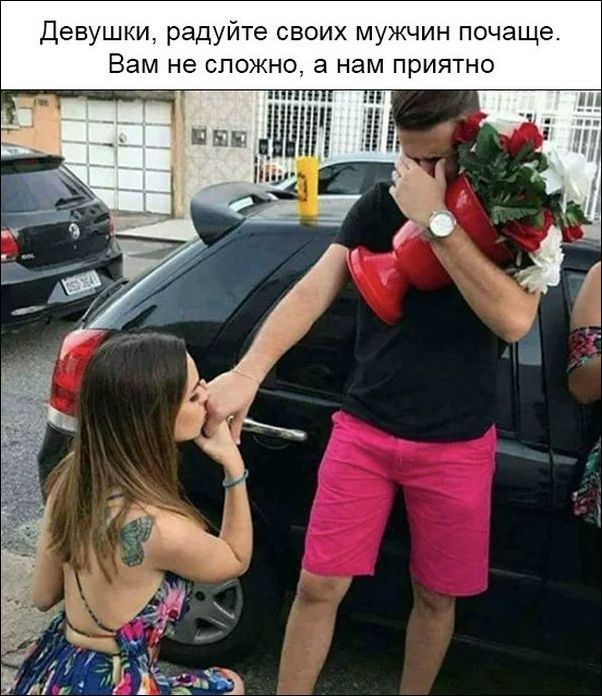 прикольные картинки прикольные картинки