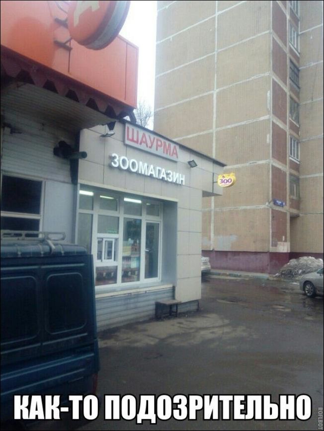 прикольные картинки прикольные картинки