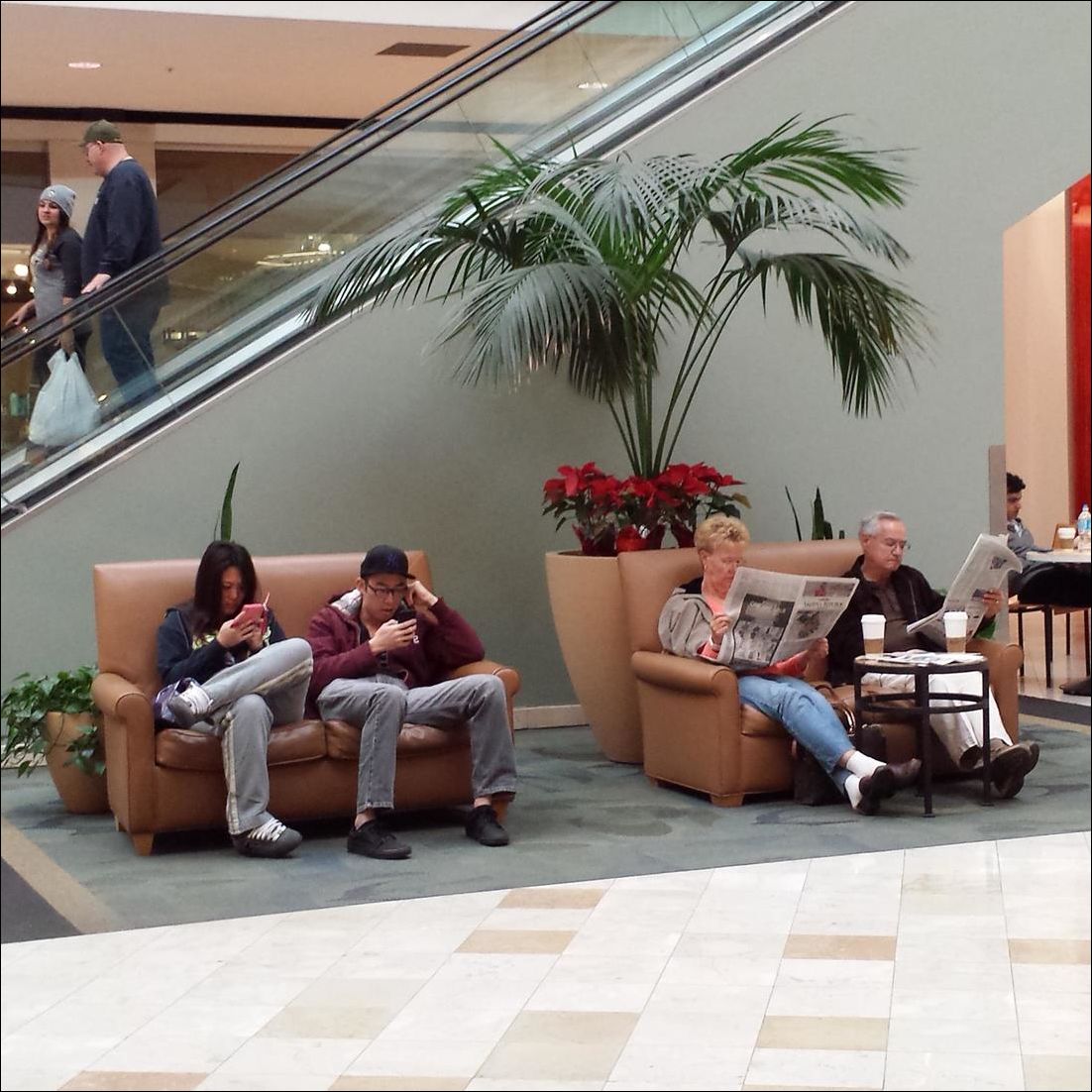 фото приколы