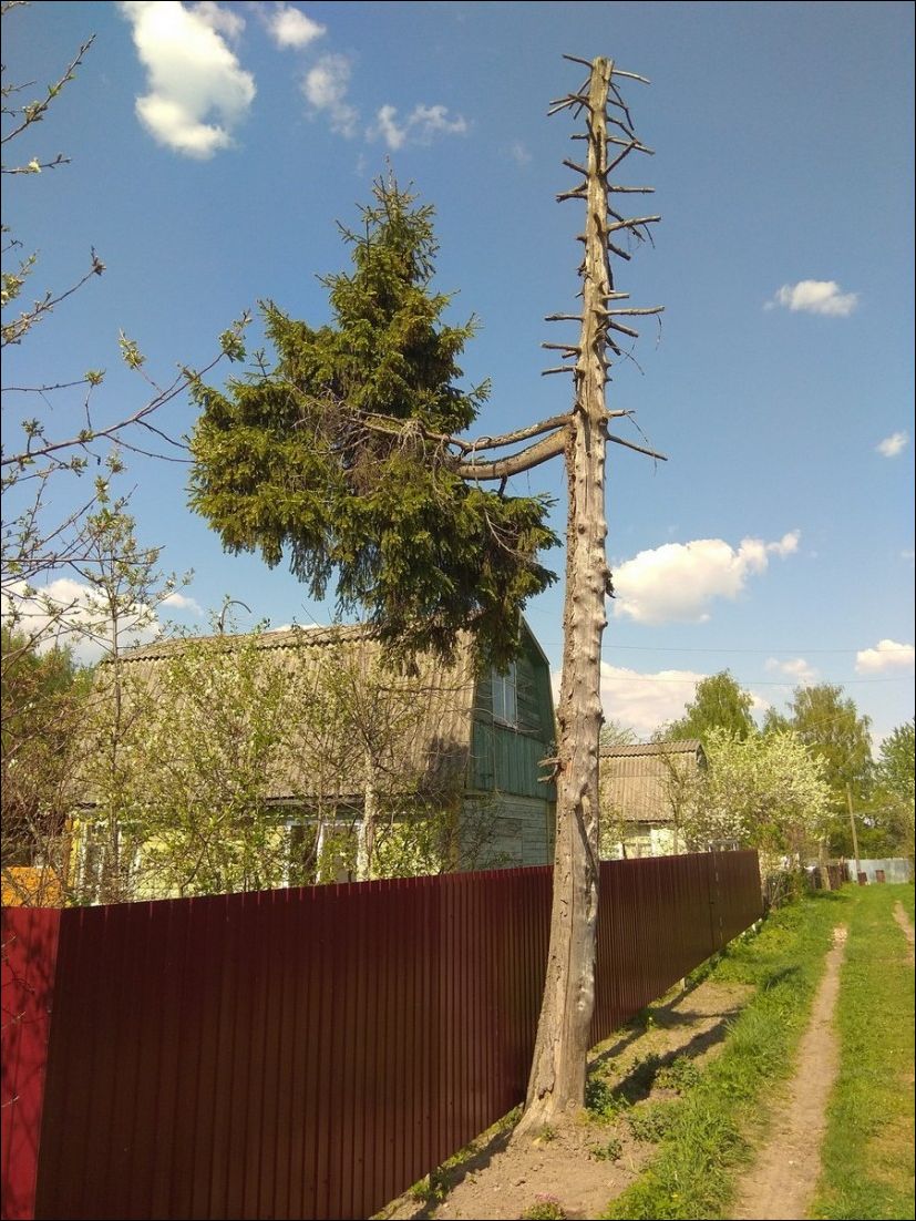 фото приколы