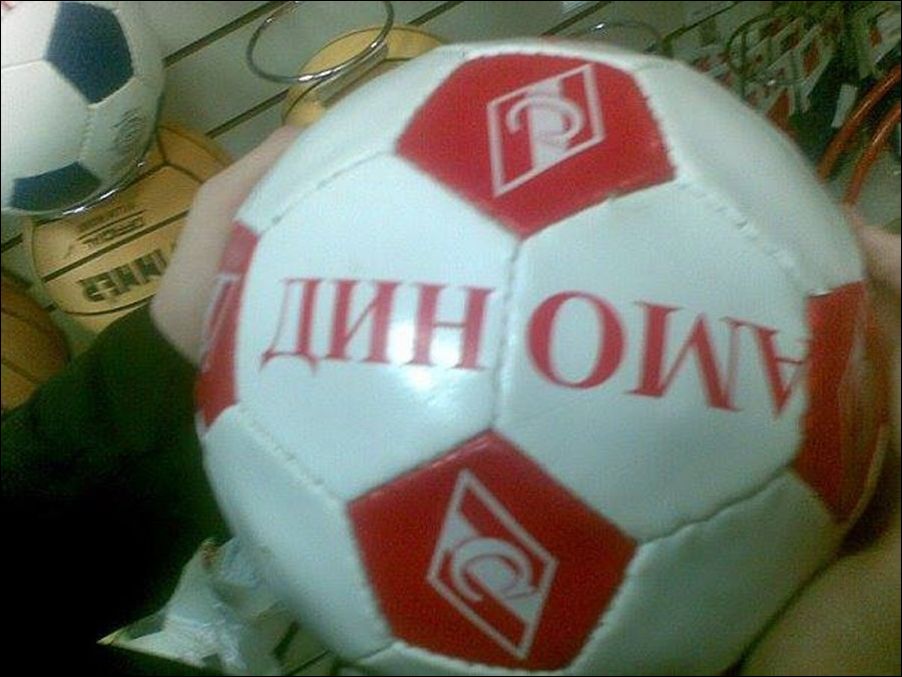 фото приколы