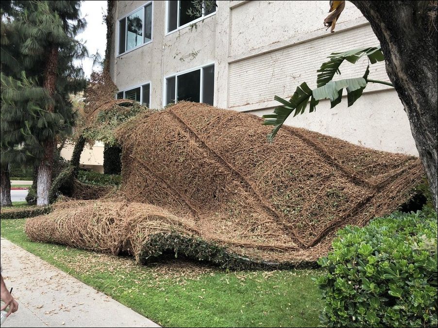 фото приколы